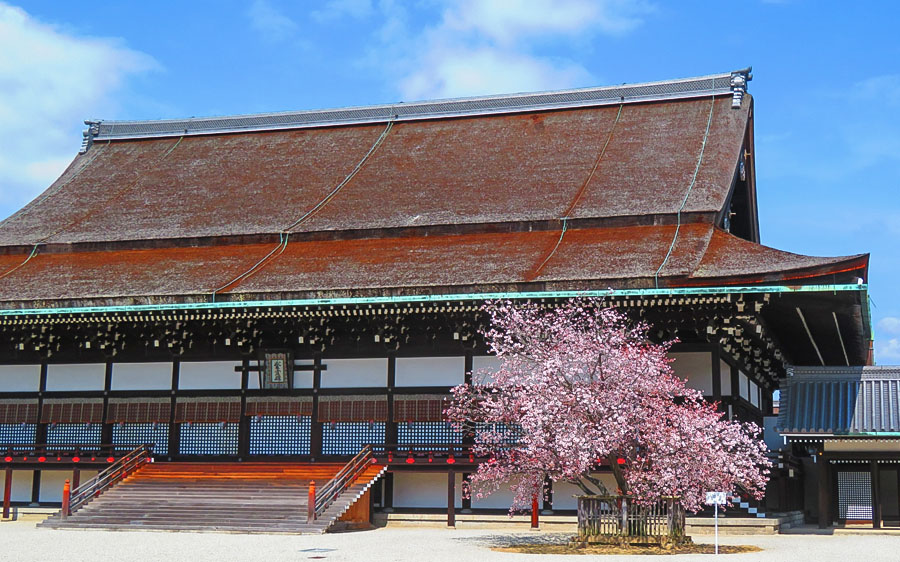 Kyoto Imperial Palace and Kyoto Gyoen
